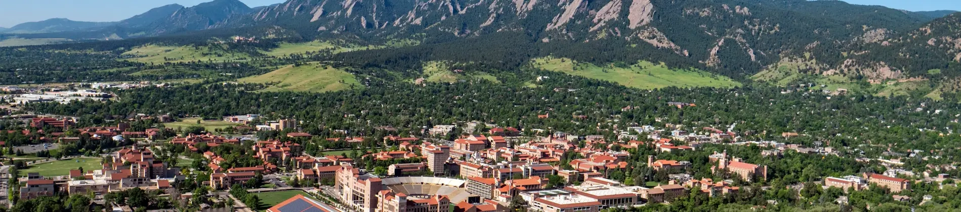 British & Irish Studies